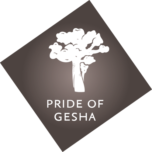 Ethiopië - Gesha Village - INV 6 - Natural processed