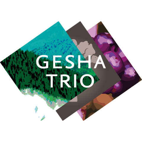 Trio Gesha
